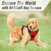 Dog Collars Harness Big Vests Leash Pet Shop Everything