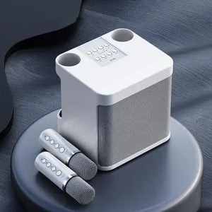 Wireless Bluetooth Speaker Set Portable Dual Microphone